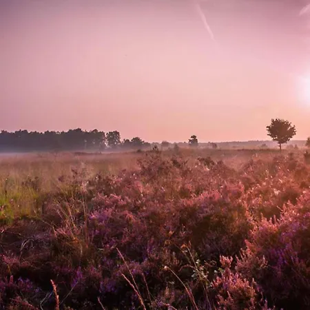 Family Near Hoge Veluwe Park, Cleaning Included Voorthuizen