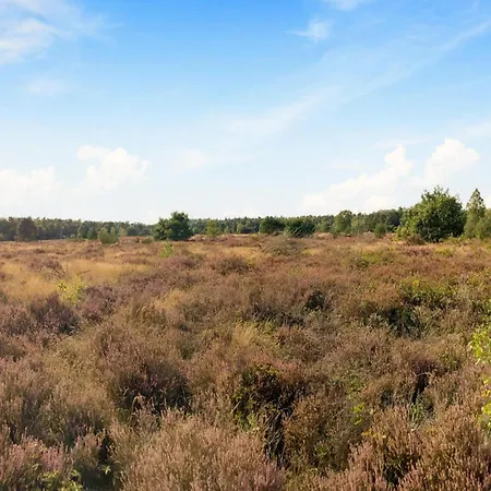 Family Near Hoge Veluwe Park, Cleaning Included * Voorthuizen