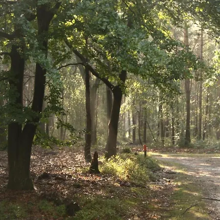 Family Near Hoge Veluwe Park, Cleaning Included Voorthuizen