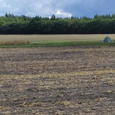 Family Near Hoge Veluwe Park, Cleaning Included