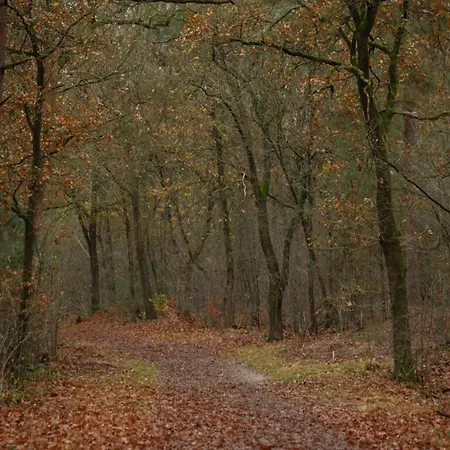 Family Near Hoge Veluwe Park, Cleaning Included Hébergement de vacances Voorthuizen